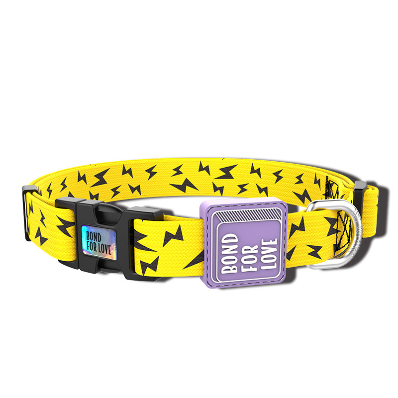 Fashion Webbing Collar