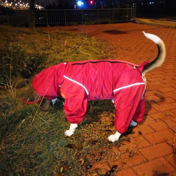 Multicolor Oversized Fashion Raincoat for Dogs