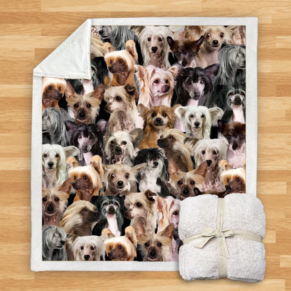 New Fashion Pet Dog Printed Flannel Blanket