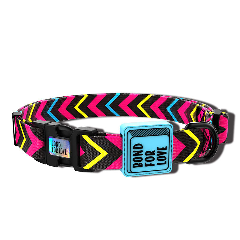 Fashion Webbing Collar