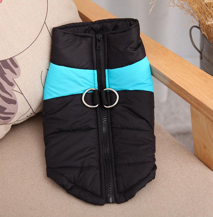 Autumn And Winter Ski Wear for Dogs