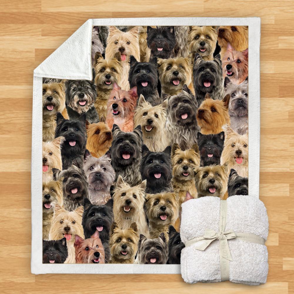 New Fashion Pet Dog Printed Flannel Blanket