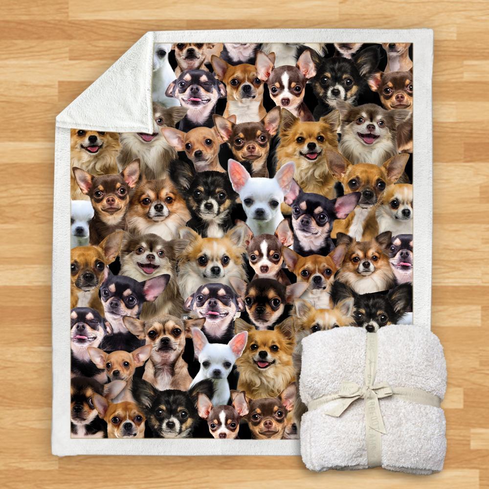 New Fashion Pet Dog Printed Flannel Blanket
