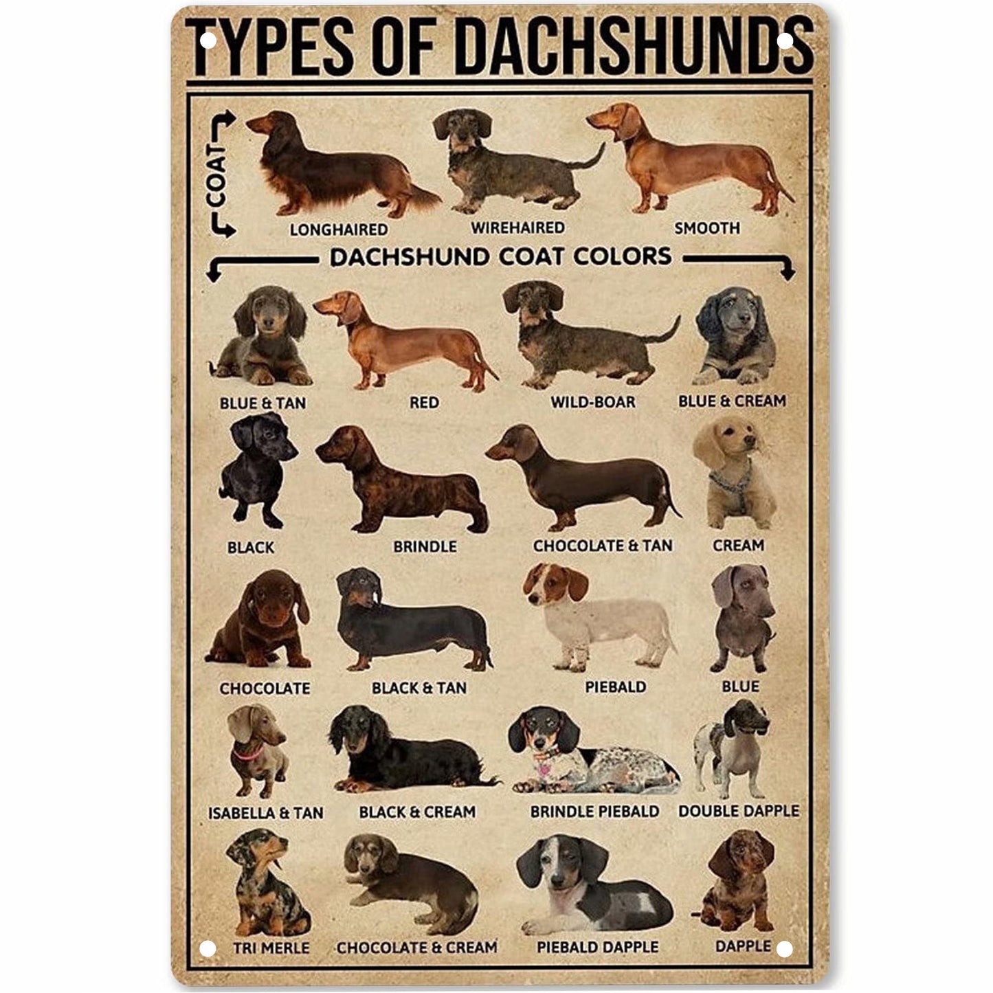 Pooch Lovers Wall Deco Sausage Dog