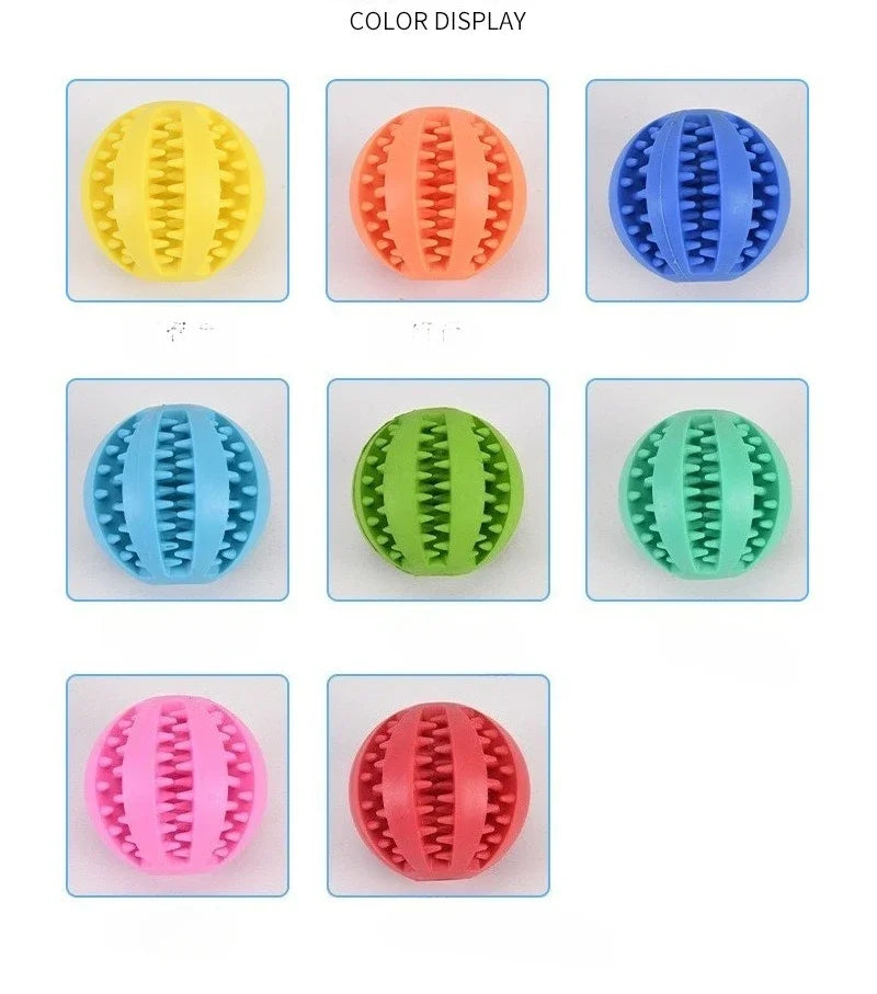 Food Ball Set Dog Toy