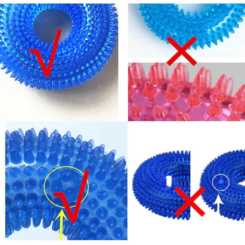 Squeaky Round Chew Dog Toy