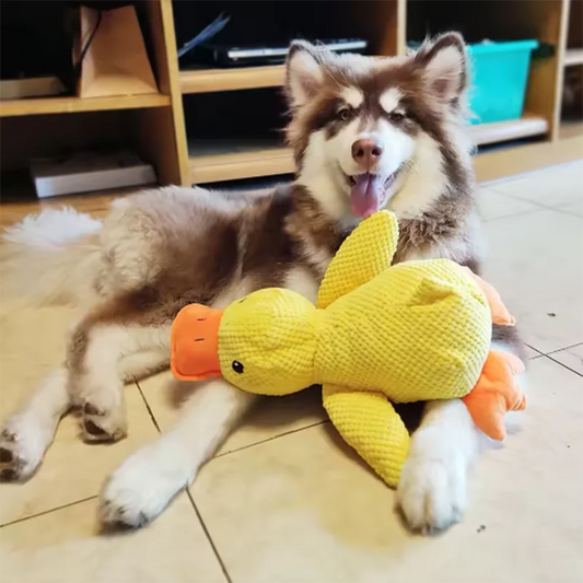 Stomping Duck Large Plush Dog Toy