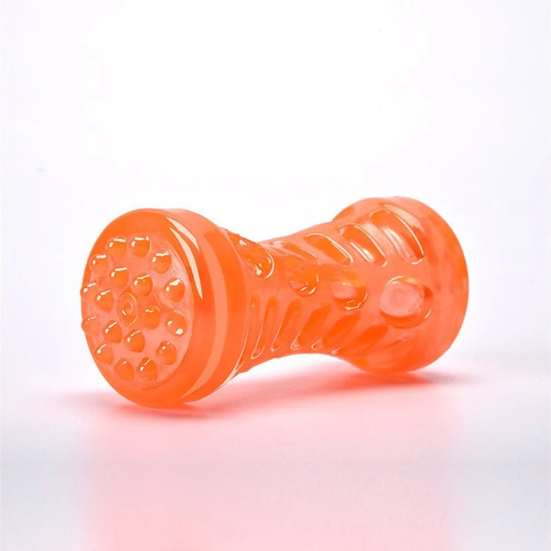 Chew Bone Sturdy Dog Toy