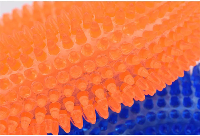 Squeaky Round Chew Dog Toy