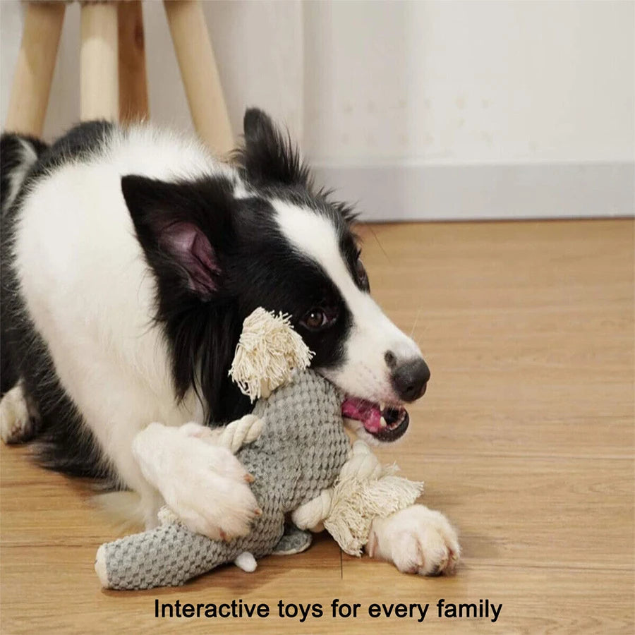 Plush Fleece Squeak Large Dog Toy