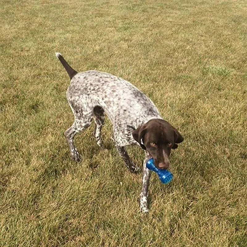 Chew Bone Sturdy Dog Toy