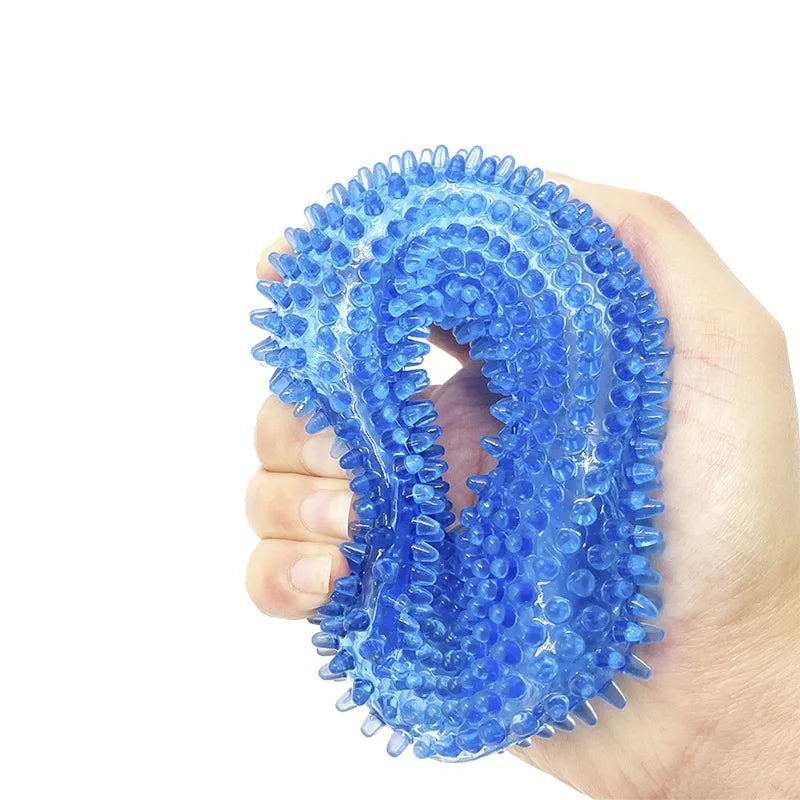 Squeaky Round Chew Dog Toy