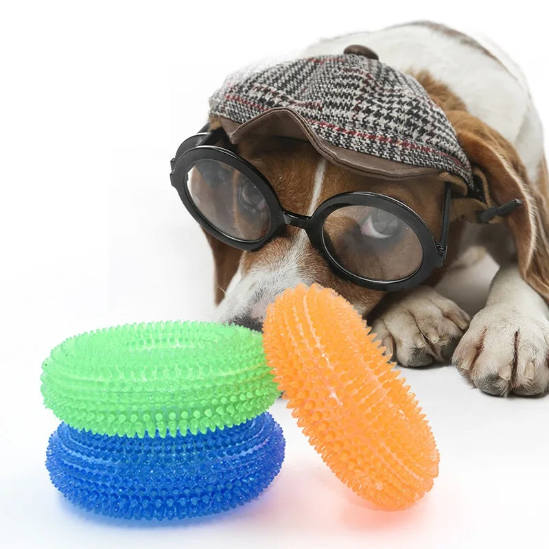 Squeaky Round Chew Dog Toy