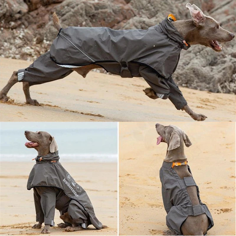 Dog Raincoat For Medium Large Dogs