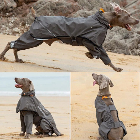 Dog Raincoat For Medium Large Dogs