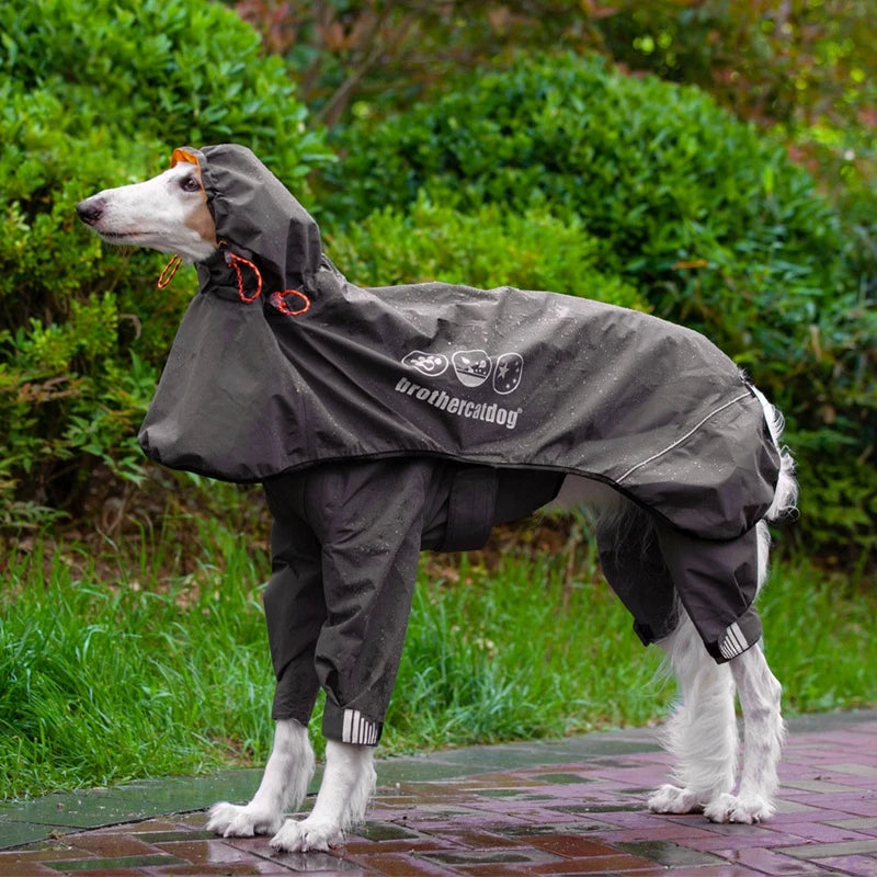 Dog Raincoat For Medium Large Dogs