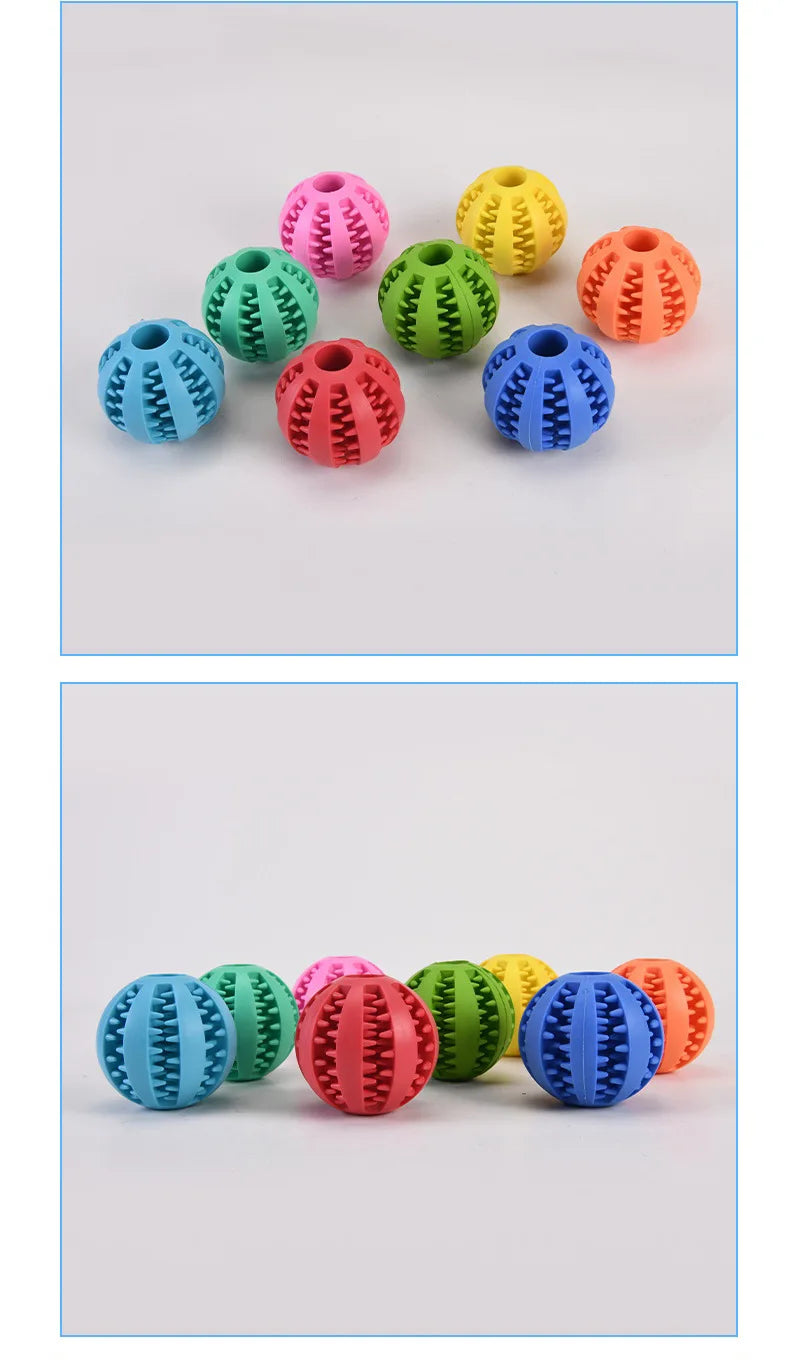 Food Ball Set Dog Toy