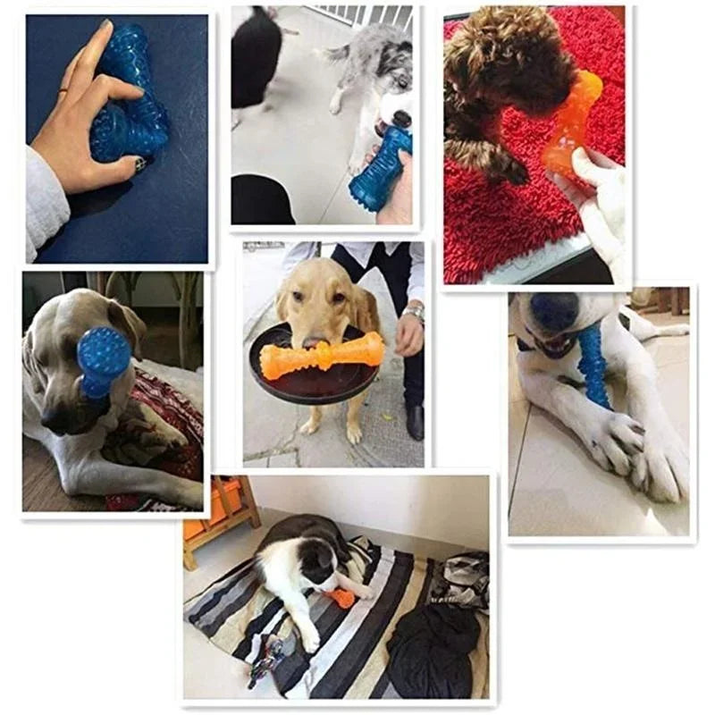 Chew Bone Sturdy Dog Toy