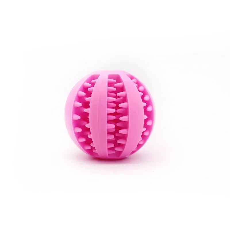 Food Ball Set Dog Toy