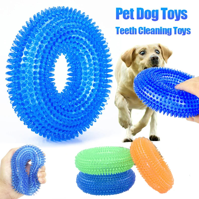Squeaky Round Chew Dog Toy
