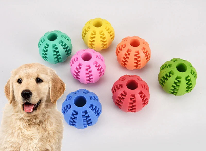 Food Ball Set Dog Toy