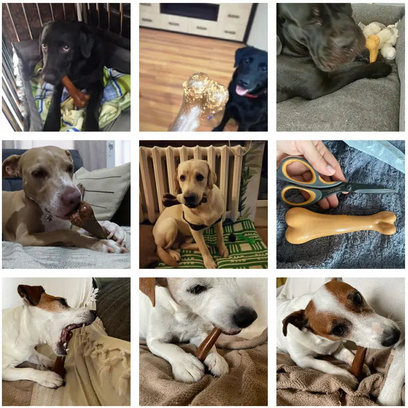 Natural Dog Chew Bone Toy