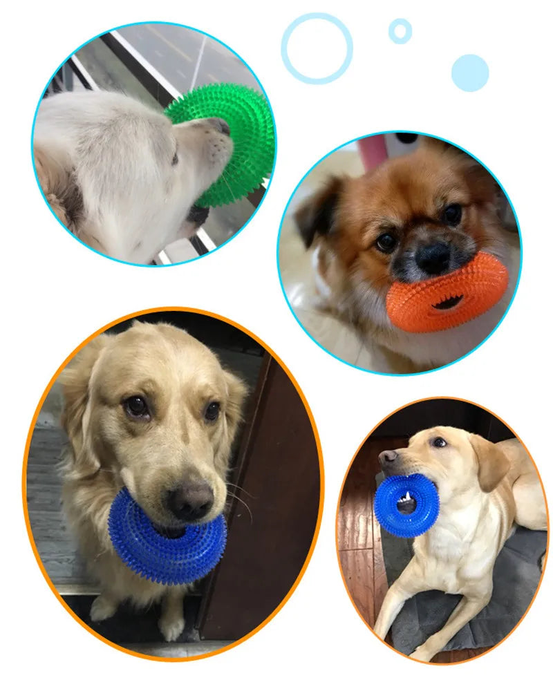 Squeaky Round Chew Dog Toy