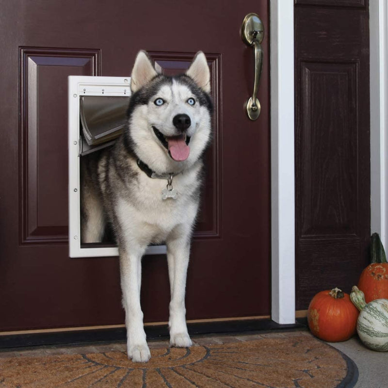 Big Dog Door- Free Entry And Exit