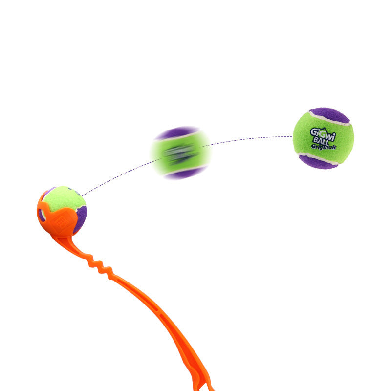 Dog Training Picking Club