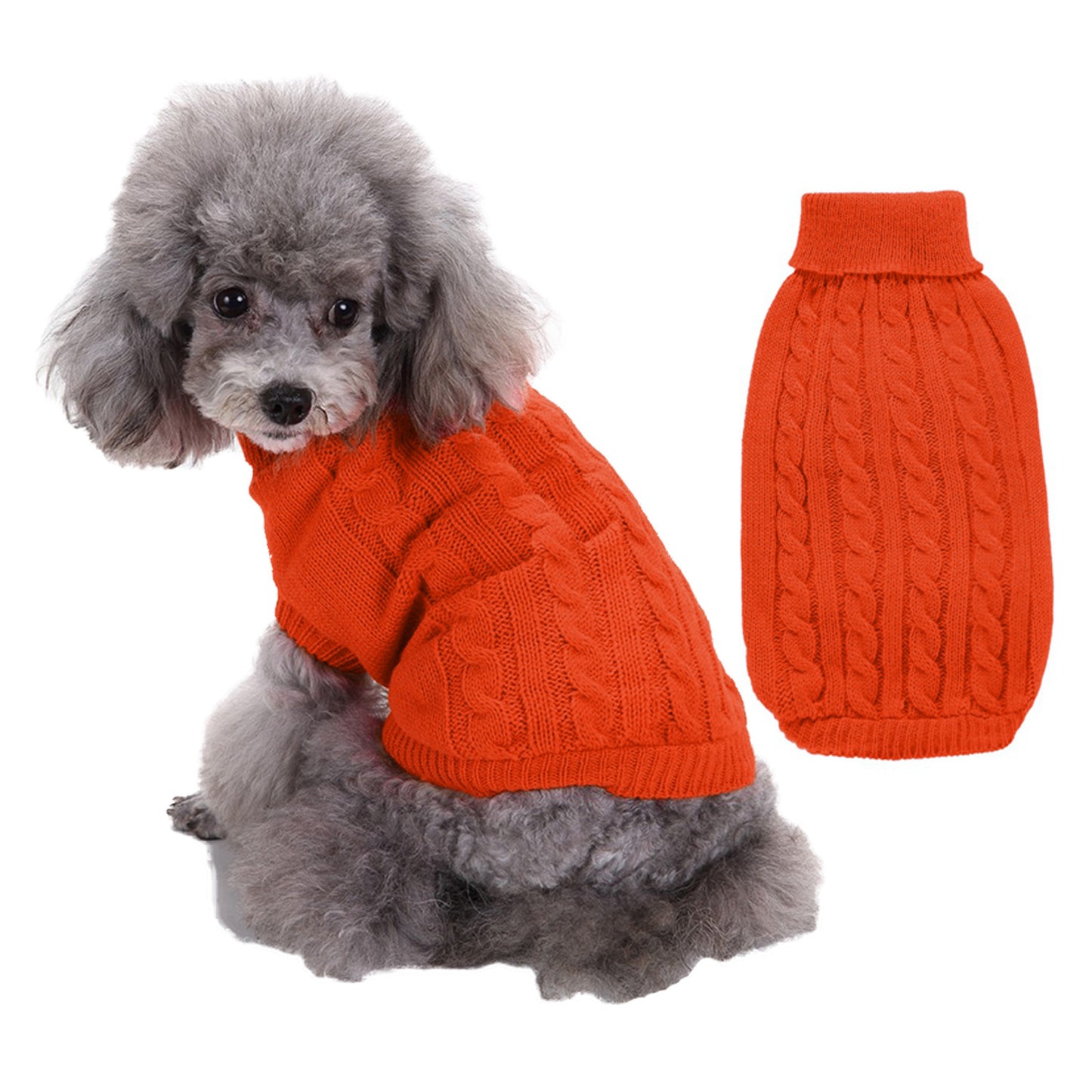 Puppy Teddy Bichon Sweater