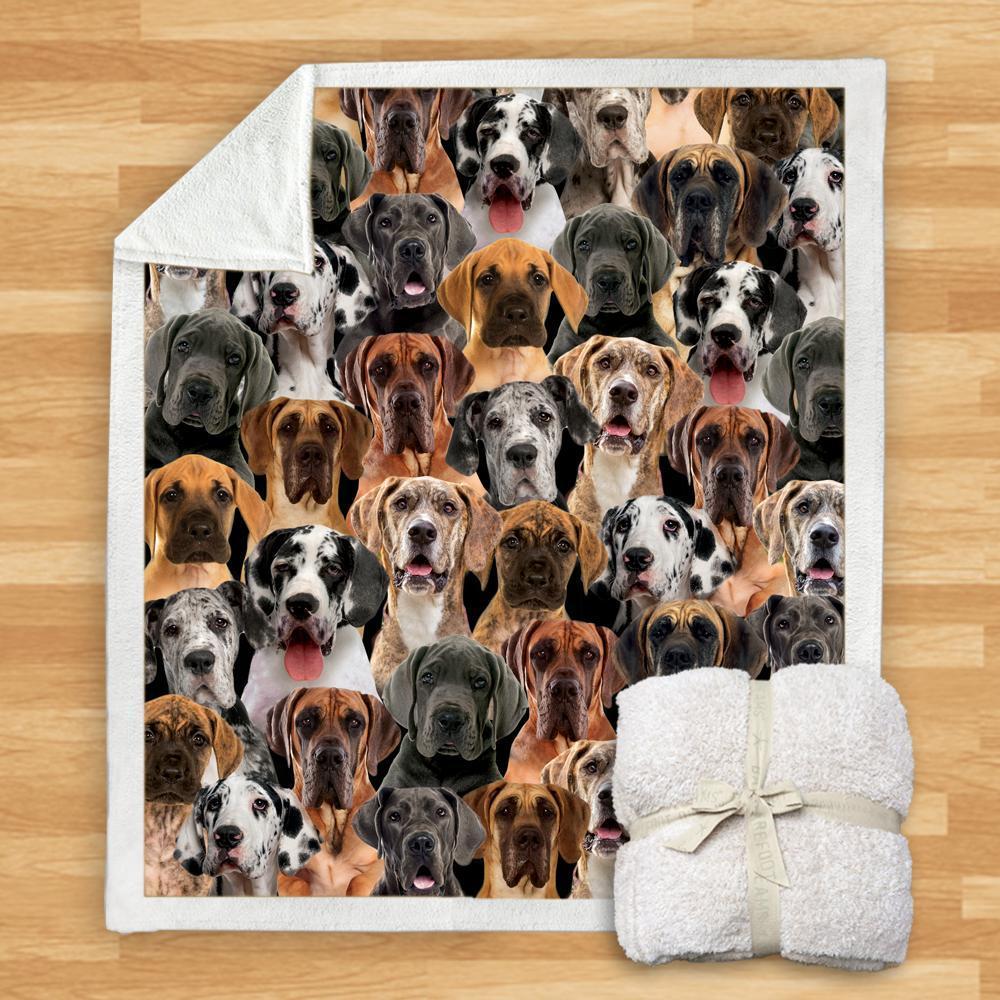 New Fashion Pet Dog Printed Flannel Blanket