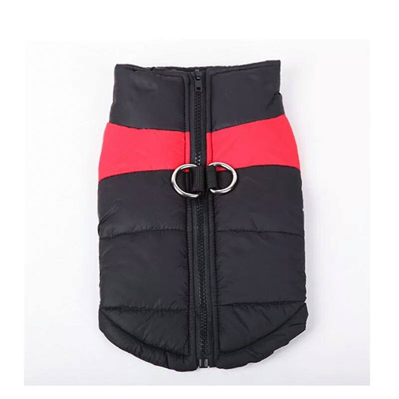 Autumn And Winter Ski Wear for Dogs