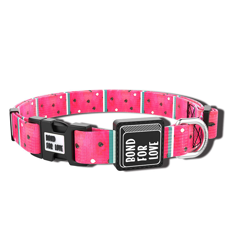 Fashion Webbing Collar