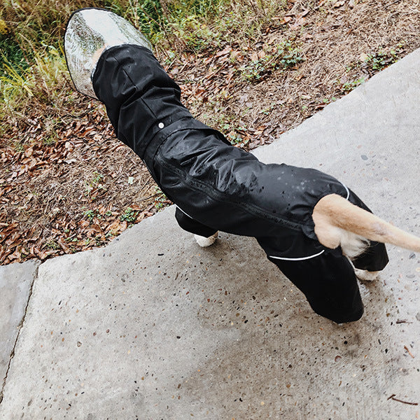 Multicolor Oversized Fashion Raincoat for Dogs