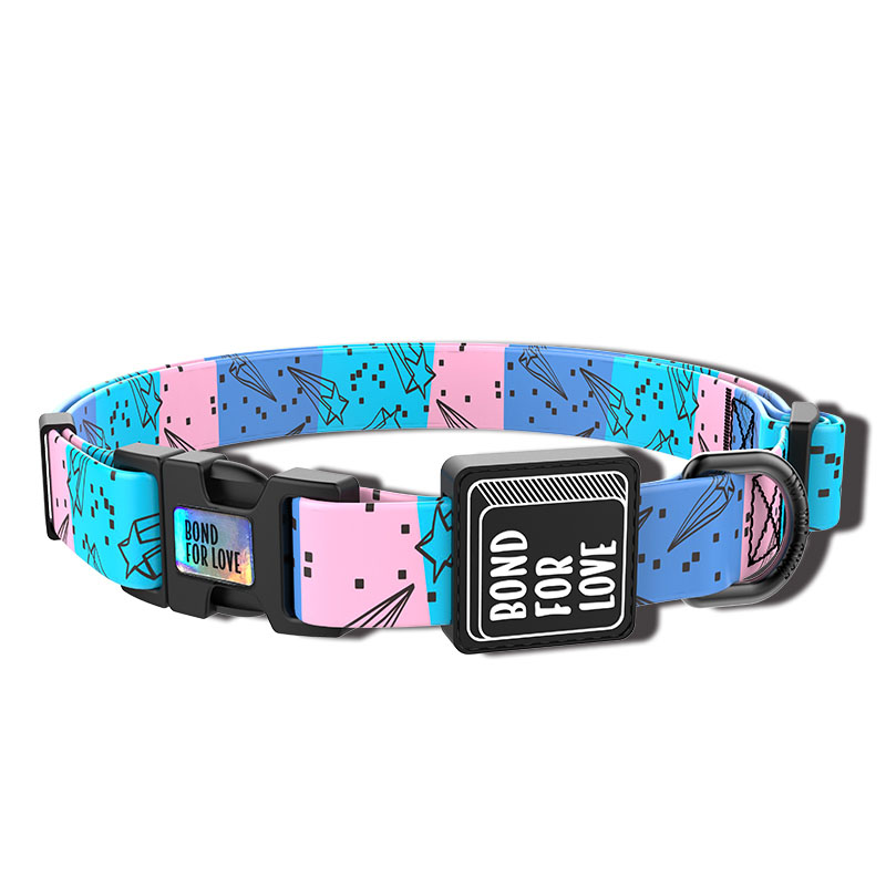 Fashion Webbing Collar