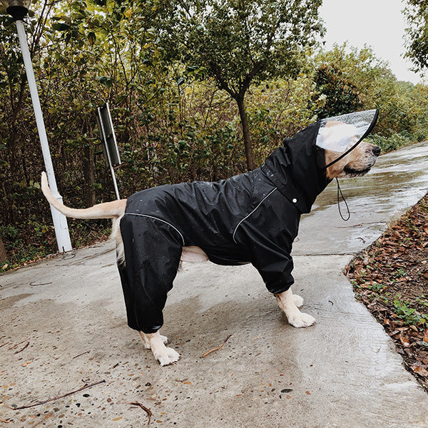 Multicolor Oversized Fashion Raincoat for Dogs