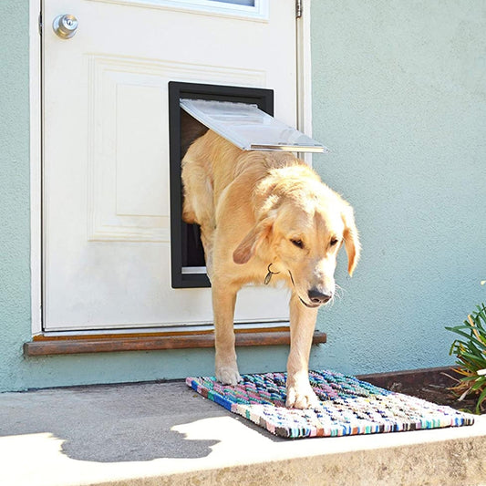 Big Dog Door- Free Entry And Exit