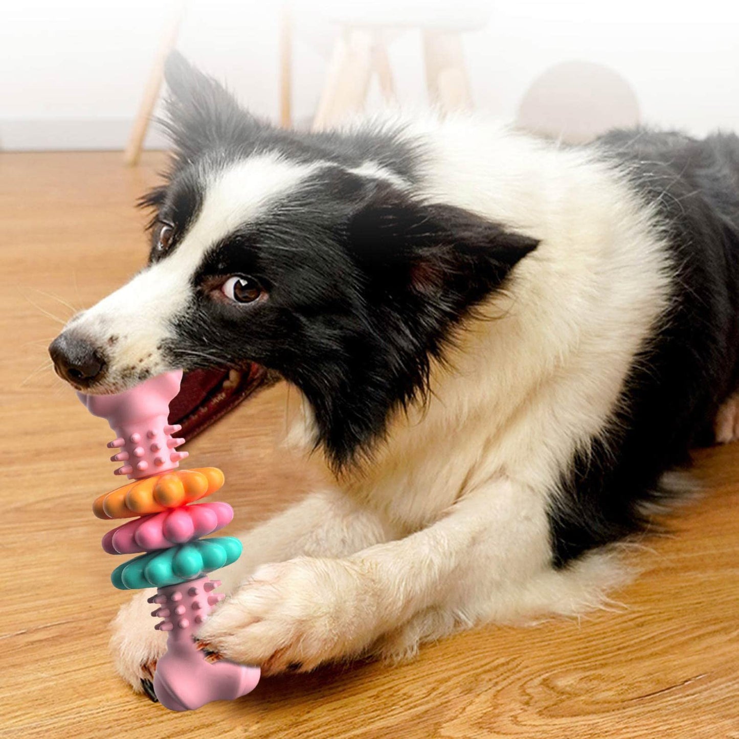 Interactive Chew Dog Toy