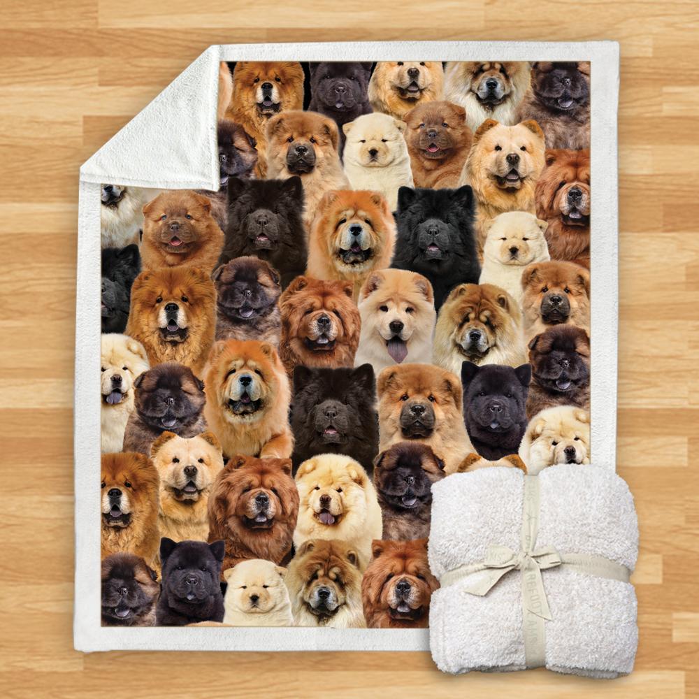 New Fashion Pet Dog Printed Flannel Blanket