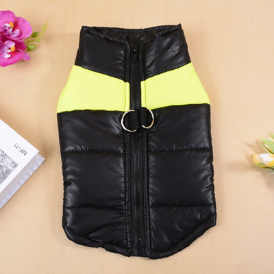 Autumn And Winter Ski Wear for Dogs