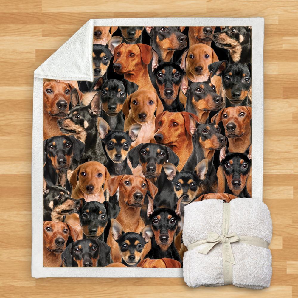 New Fashion Pet Dog Printed Flannel Blanket