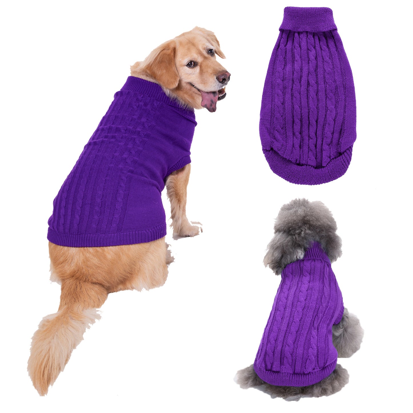 Puppy Teddy Bichon Sweater